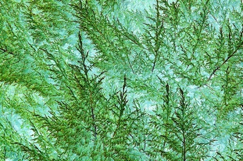 N 193B